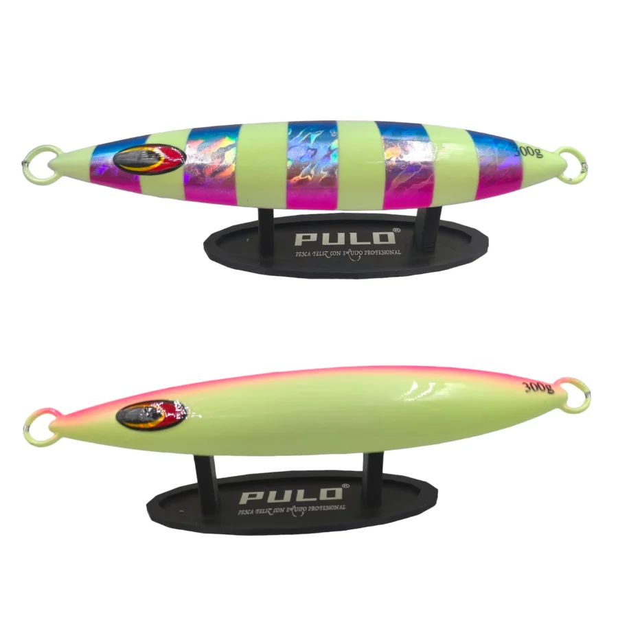 JIGGING 300g