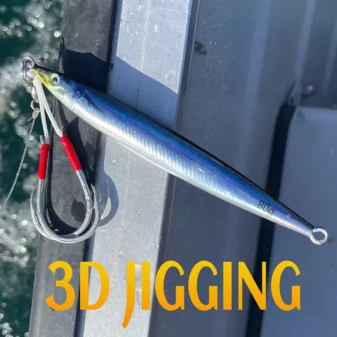 JIGGING 3D