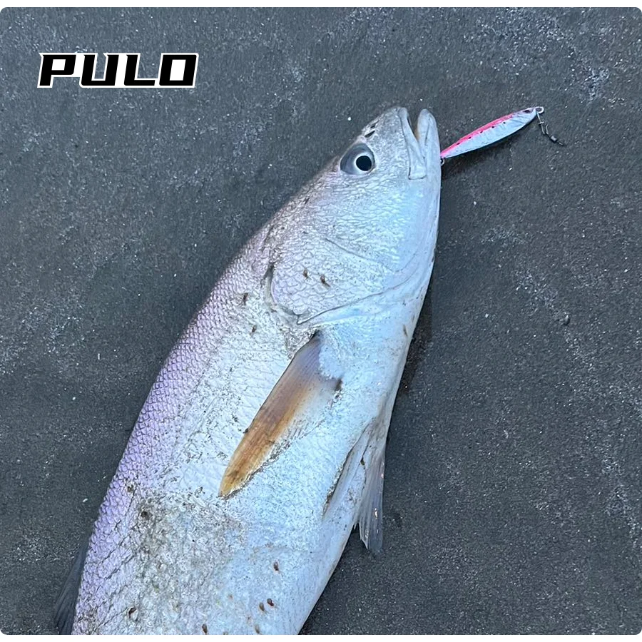Jig estilo Pez 60g/85mm