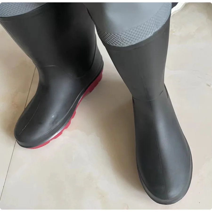 Waders gris