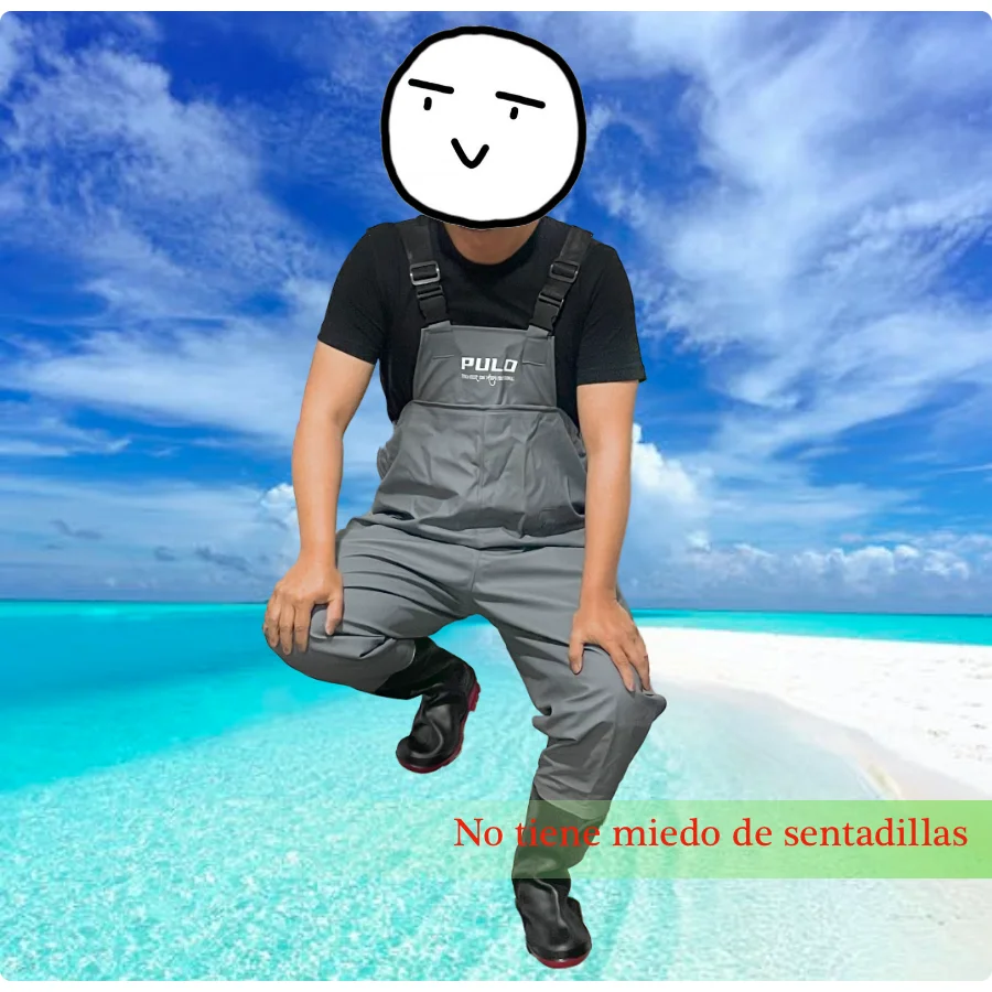 Waders gris