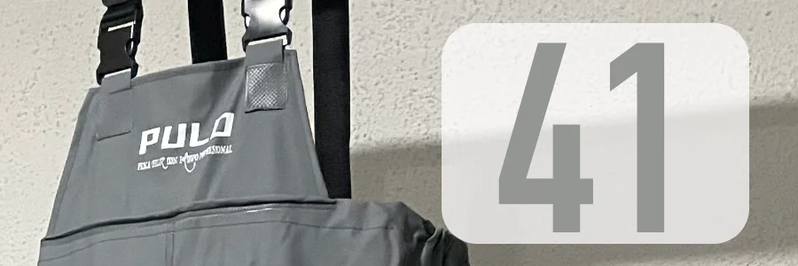 41