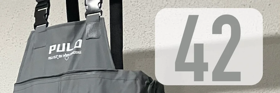 42