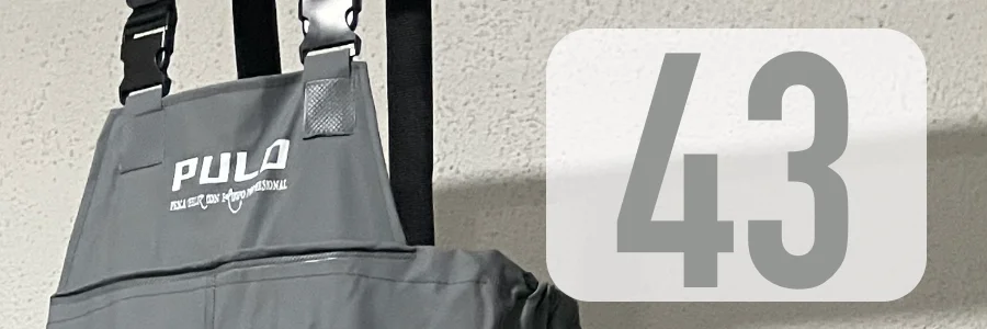 43