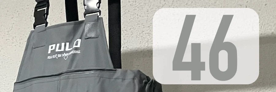 46