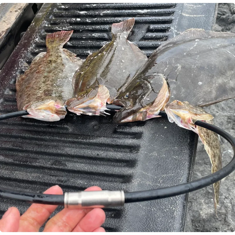 Pasa peces