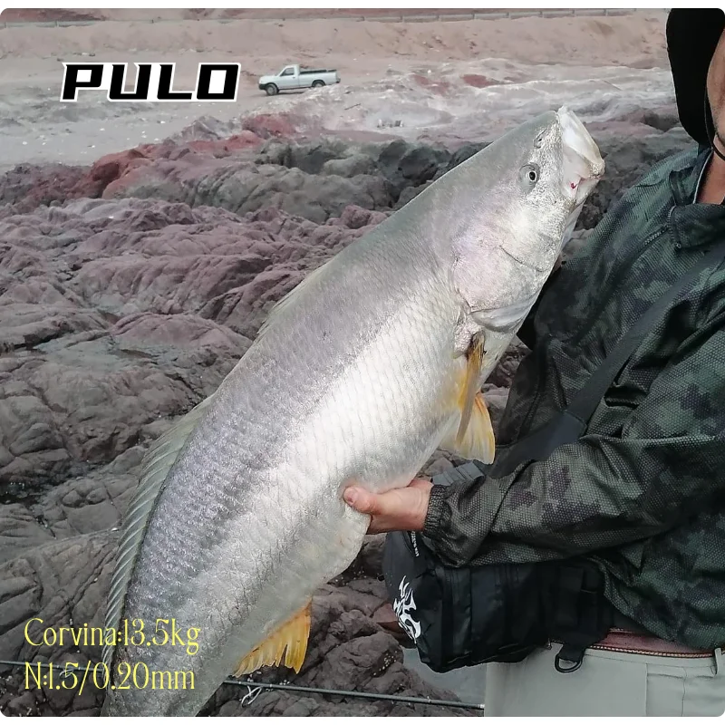 PE Línea de pesca de 9 hebras