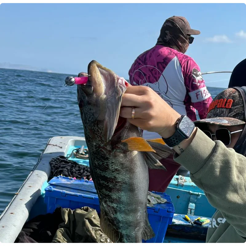 Vinilo de pesca con cajas