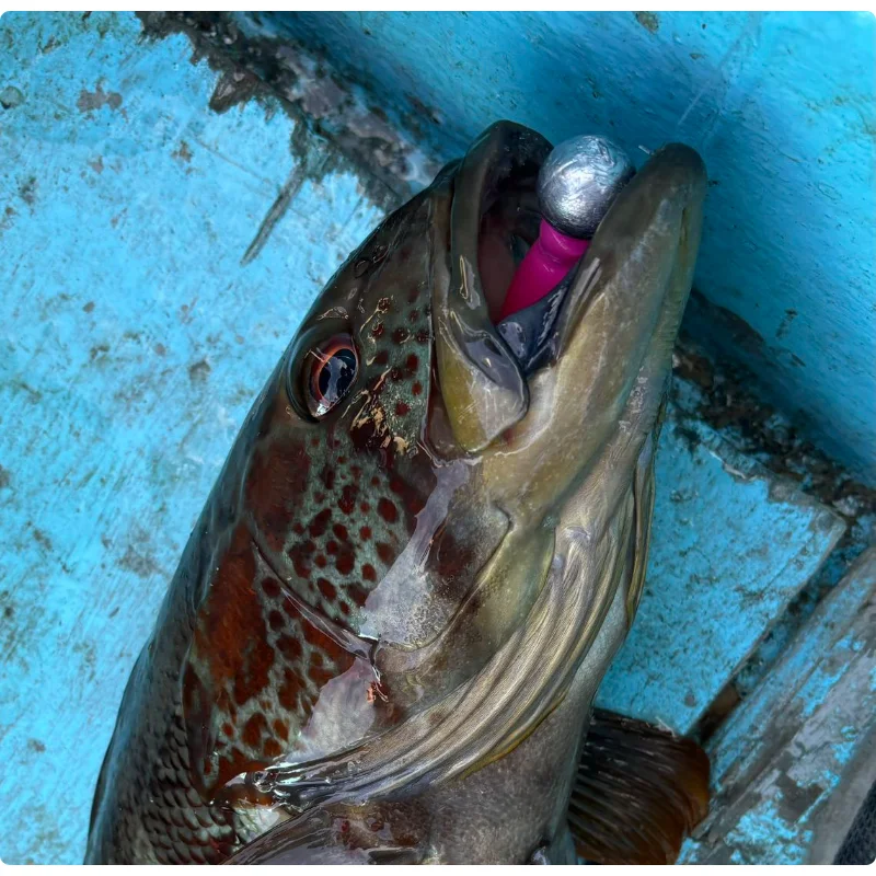 Vinilo de pesca con cajas